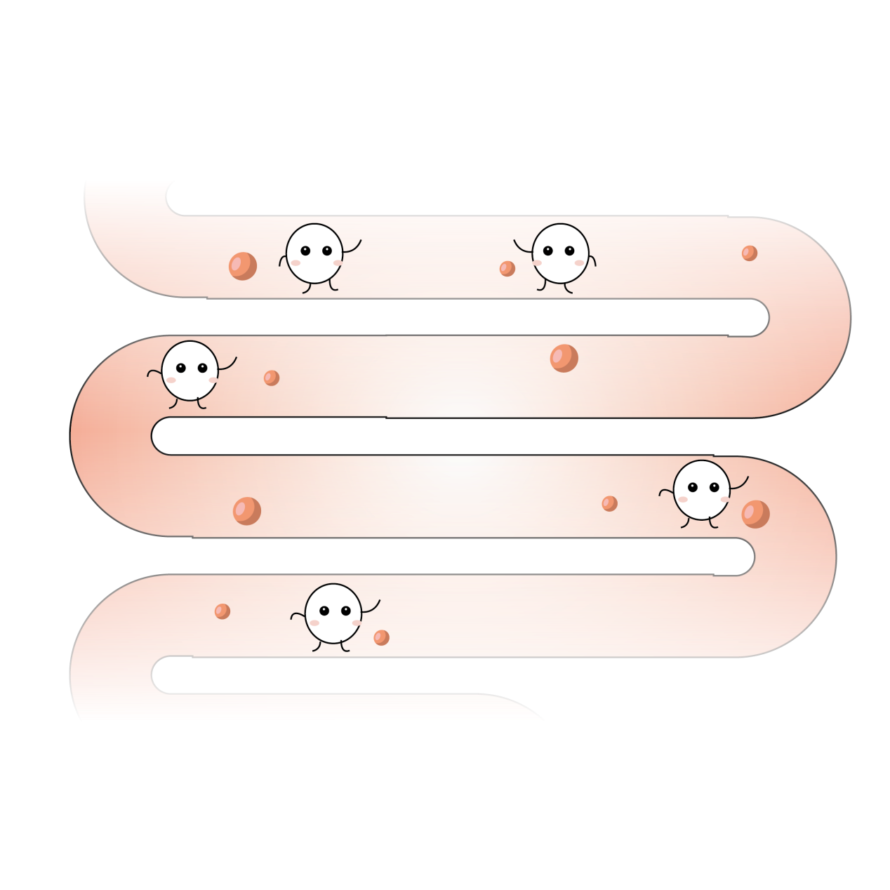成人益生菌 益生菌知識